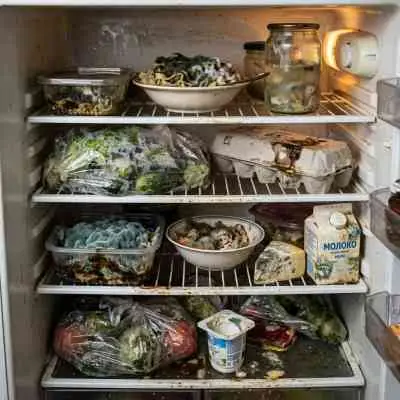 Почему продукты портятся быстрее, чем должны